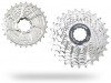  . 10-k 12-25T SUN RACE RZ .,Campy Type