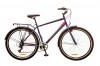  29 Discovery PRESTIGE MAN  14G  Vbr  -19,5 St -- ()     St,   St 2017