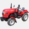  DW 244D 24 ..