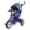   TILLY Trike T-351-10      . /1/