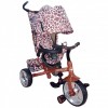   TILLY ZOO-TRIKE T-342 BROWN /1/