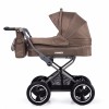   TILLY Family T-181 Beige /1/ MOQ