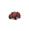 - T-785 RED   Bluetooth 2.4G / 2*6V4.5AH  2*25W  MP3 117*69*53 .. /1/