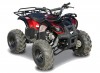  Spark LZ110-4